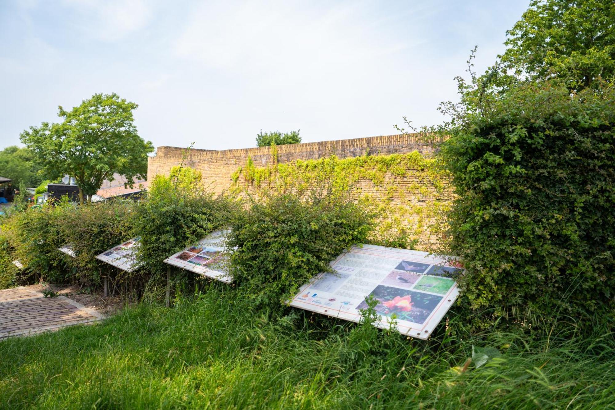 Topparken - Parc Ijsselhoeve IJssellaan Exterior foto